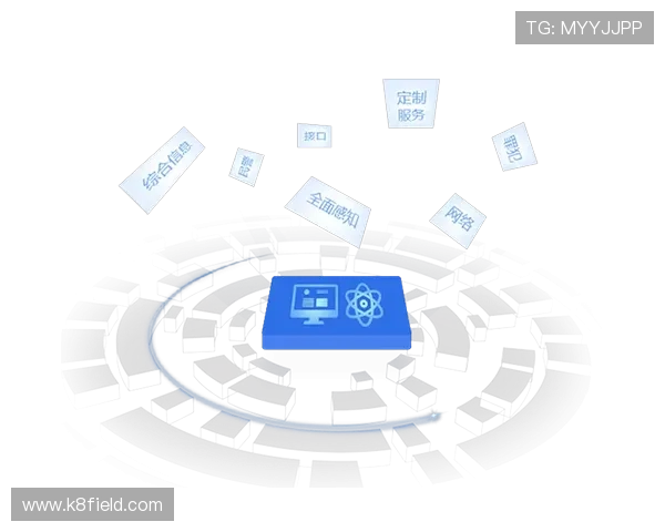 分析K8凯发国际站的支付方式多样化满足不同地区用户的需求