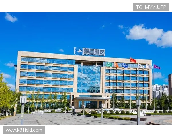 凯发K8.com官方旗舰店安全保障措施详解保障玩家资金与信息安全的最佳选择