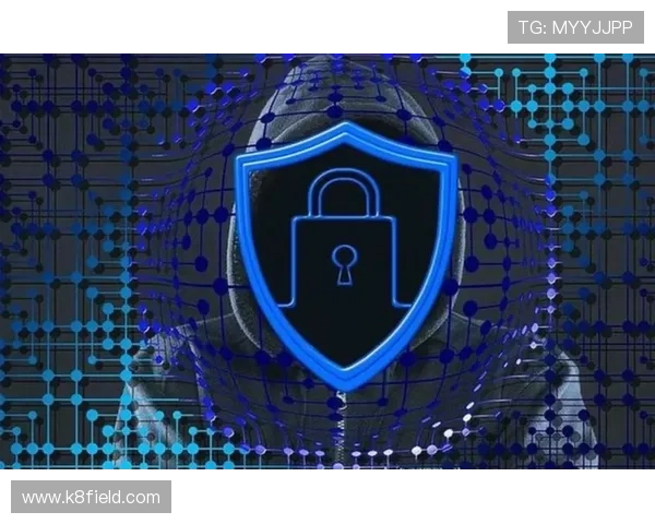 K8集团网站安全保障措施详解，确保用户数据隐私与企业信息安全的最佳实践