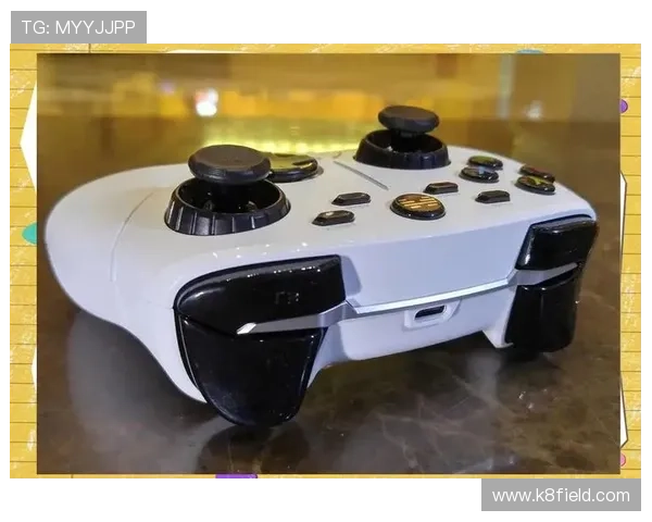 凯发网页版游戏种类丰富多样满足不同玩家的个性化娱乐需求