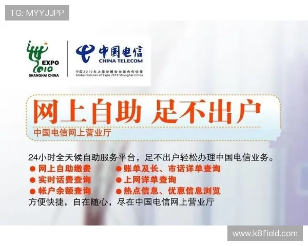 K8网站的客户服务与技术支持体系，提供全天候专业帮助保障用户体验
